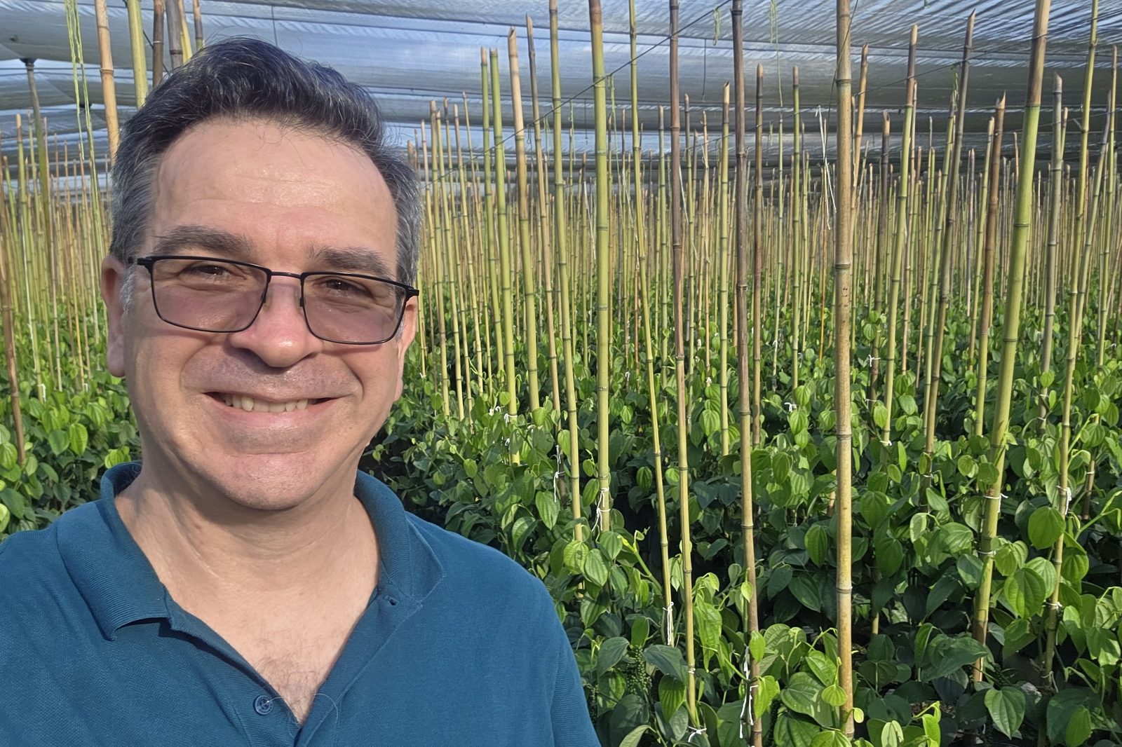 Pepper nursery, Espírito Santo