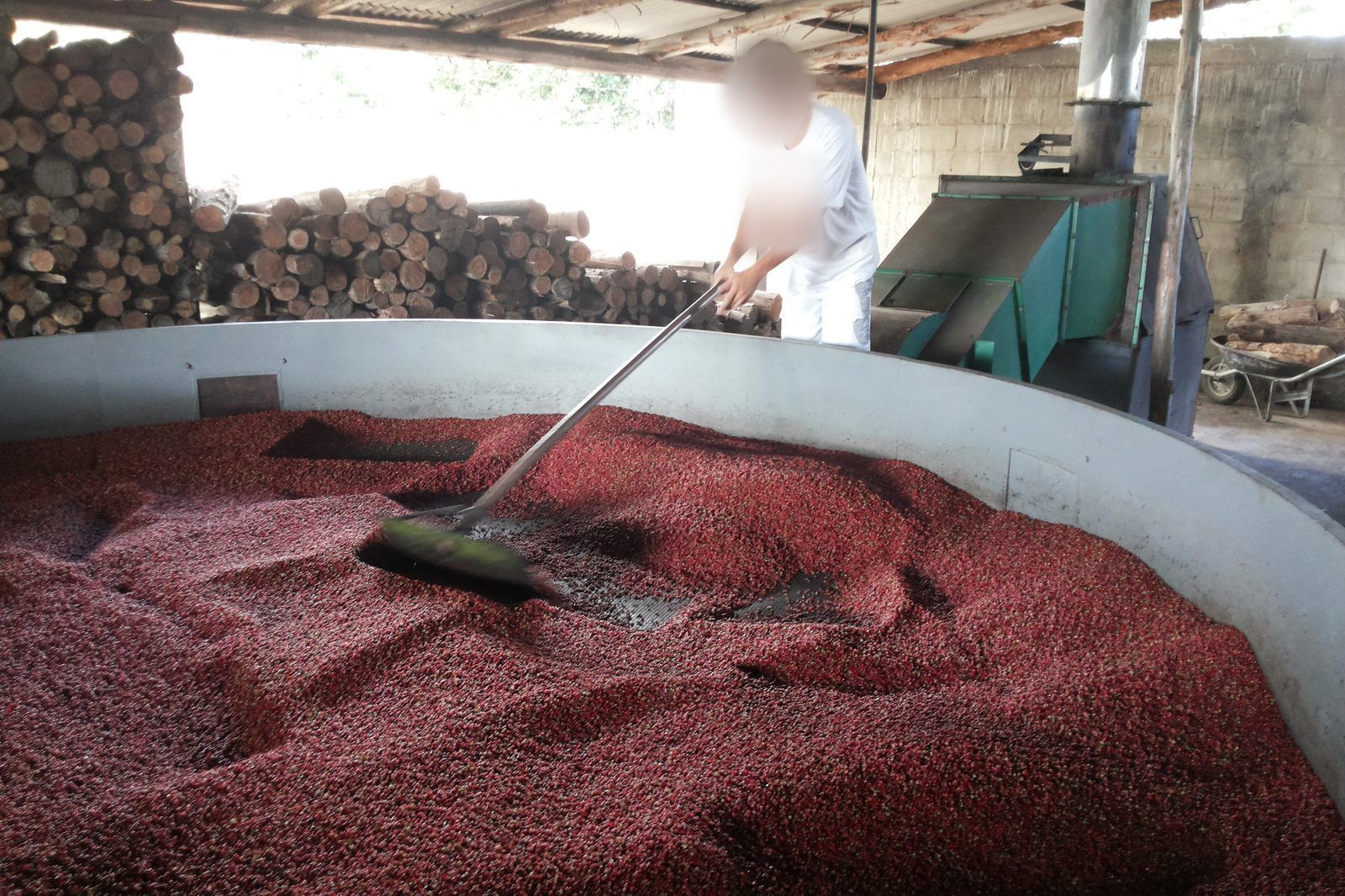 Pink pepper drying