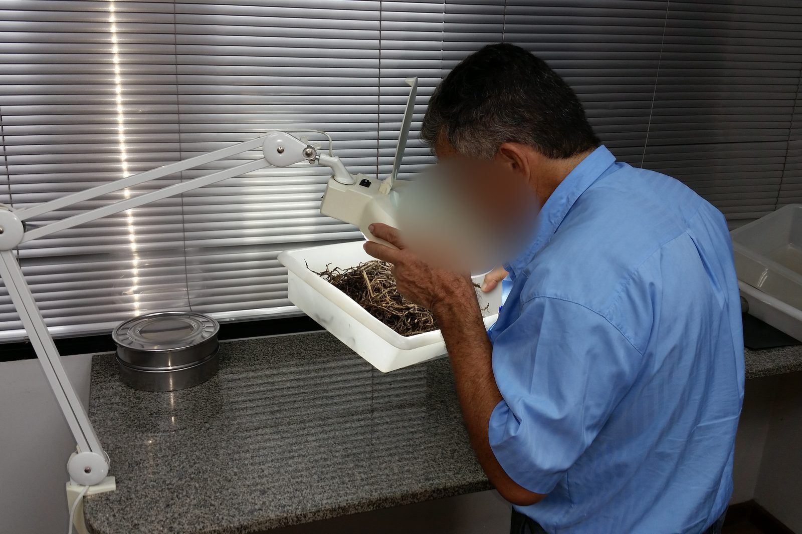 Sample inspection before shipment
